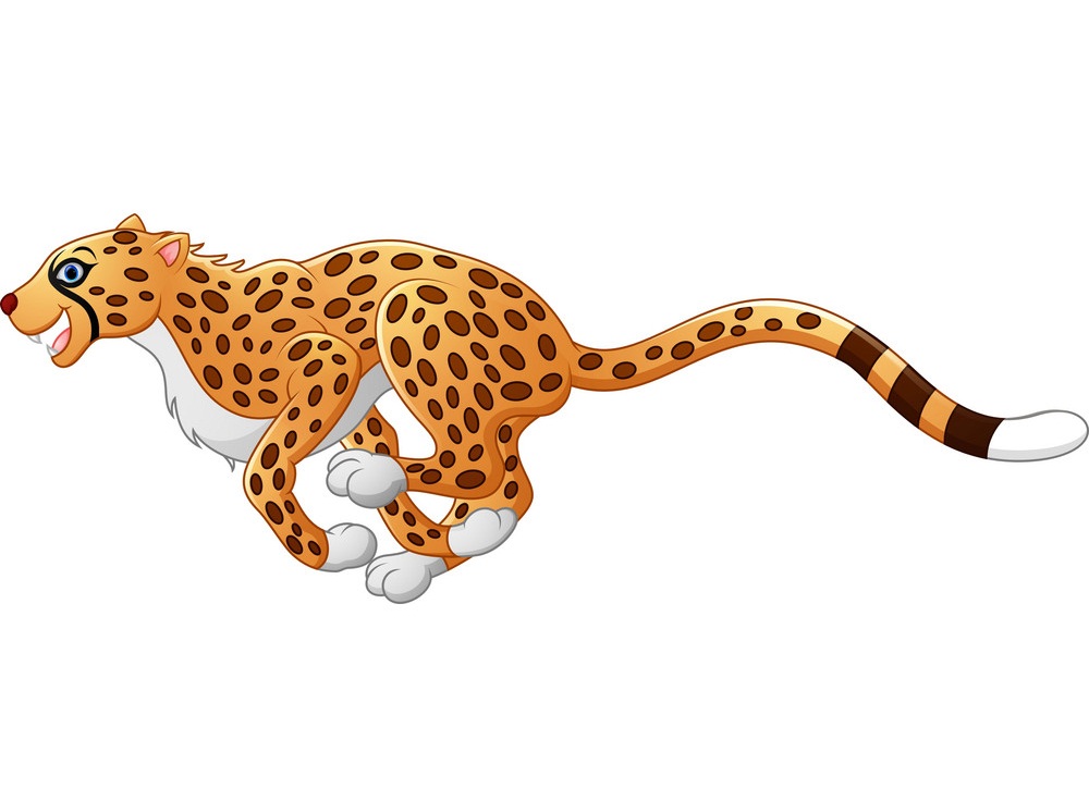 happy cheetah running