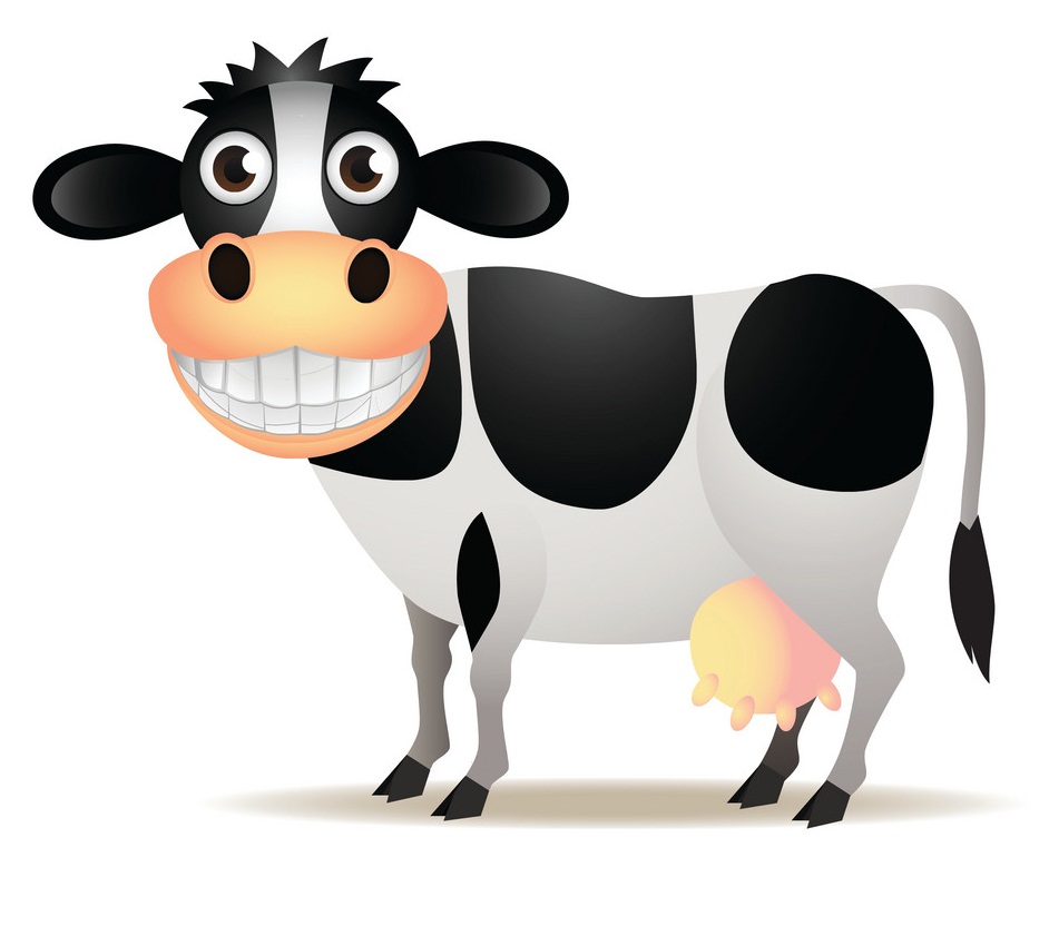 happy cow smiling