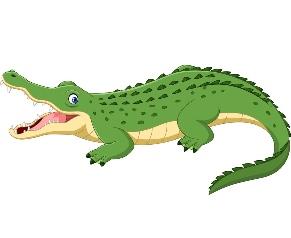 happy crocodile smiling