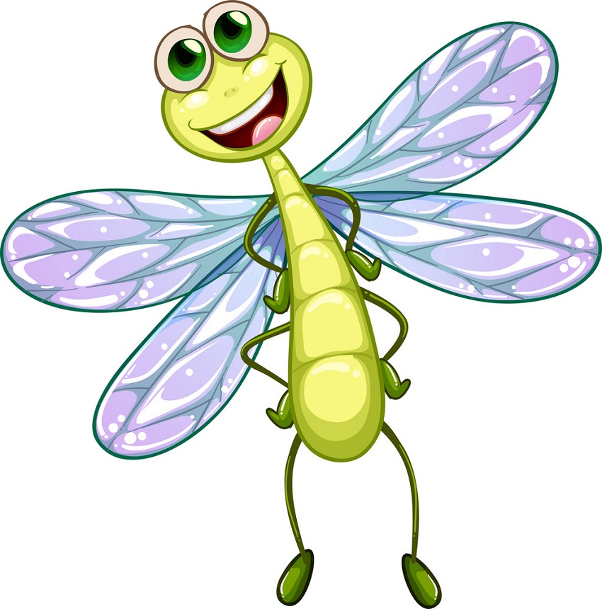 happy dragonfly