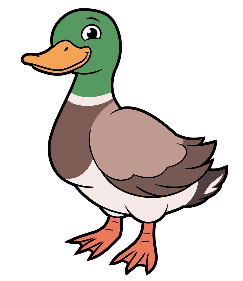 happy duck