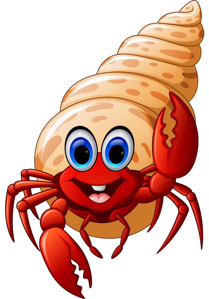 happy hermit crab