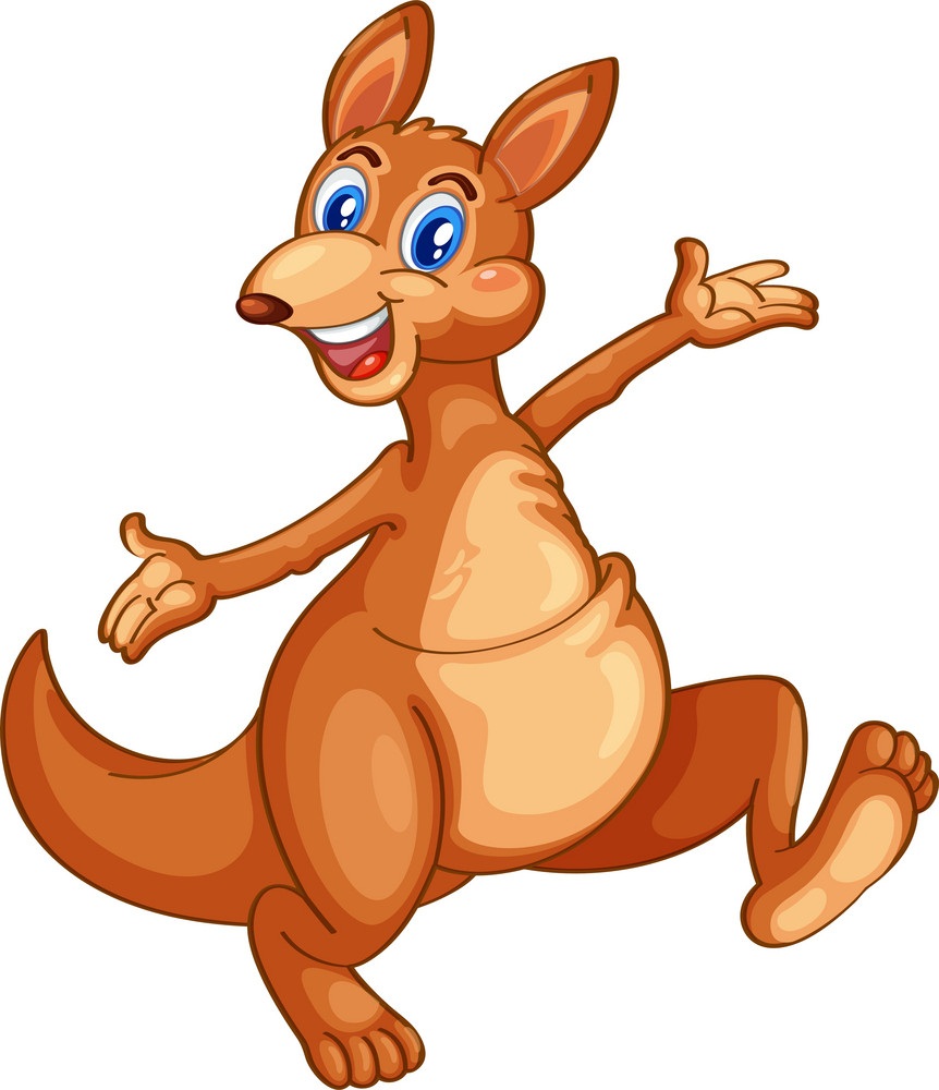 happy kangaroo walking