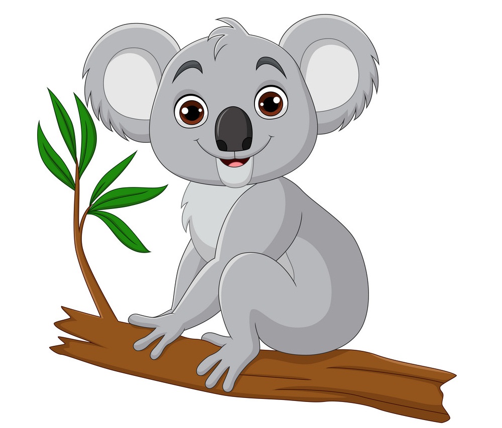 happy koala sitting on a branch