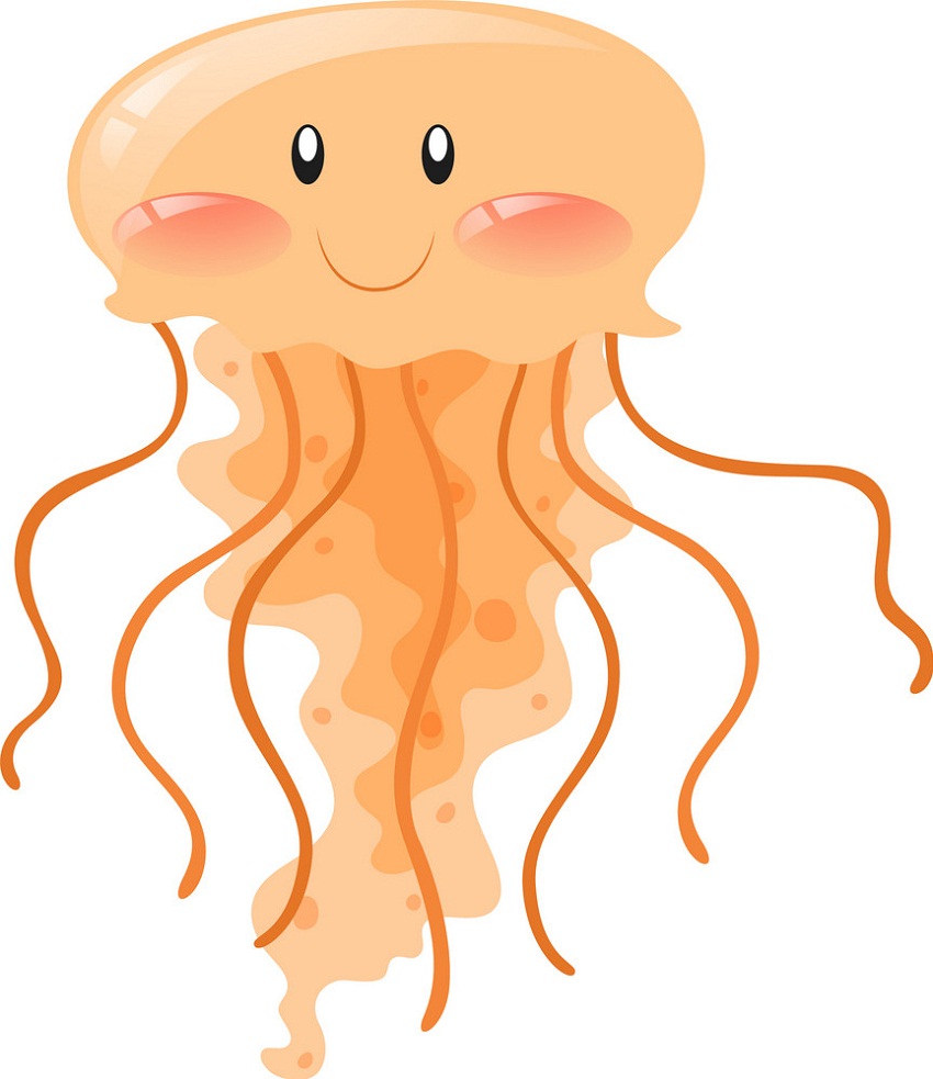 happy orange jellyfish