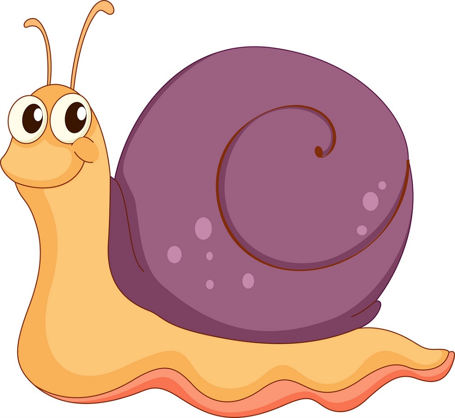happy snail