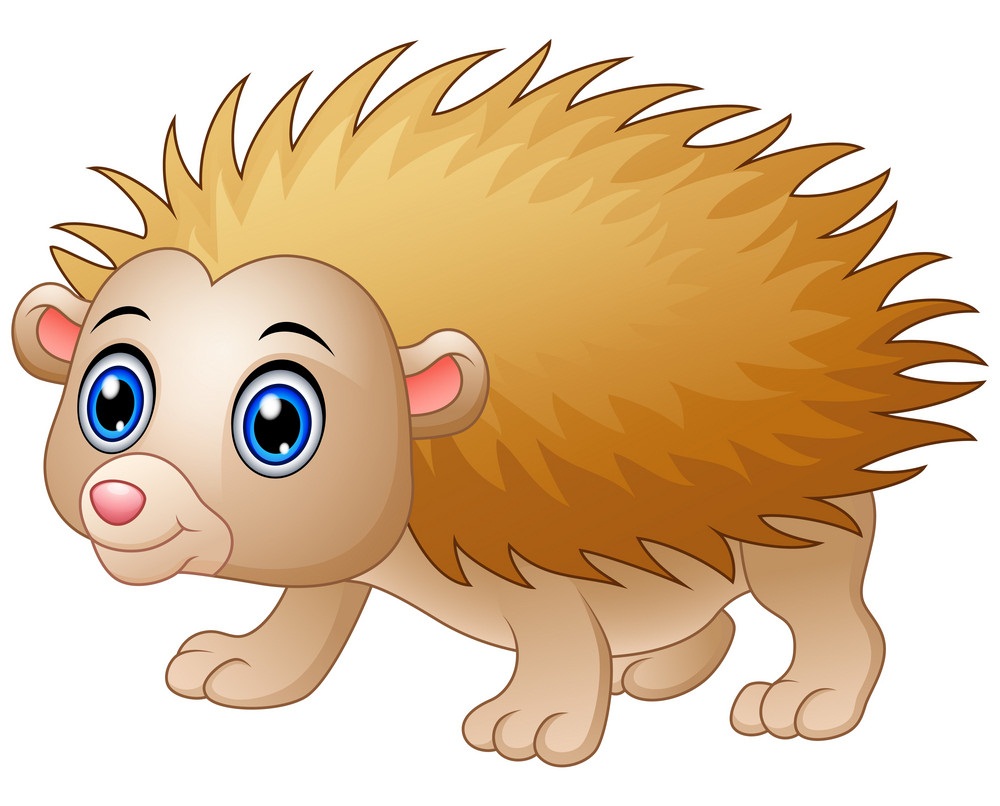 hedgehog with cute eyes