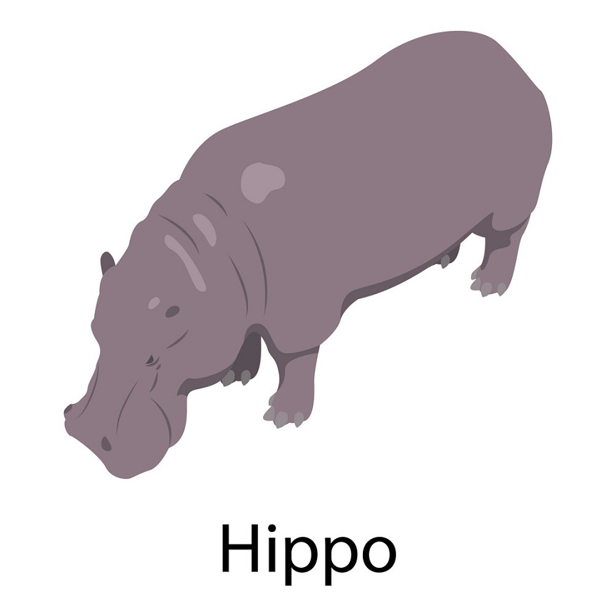 hippo icon isometric style