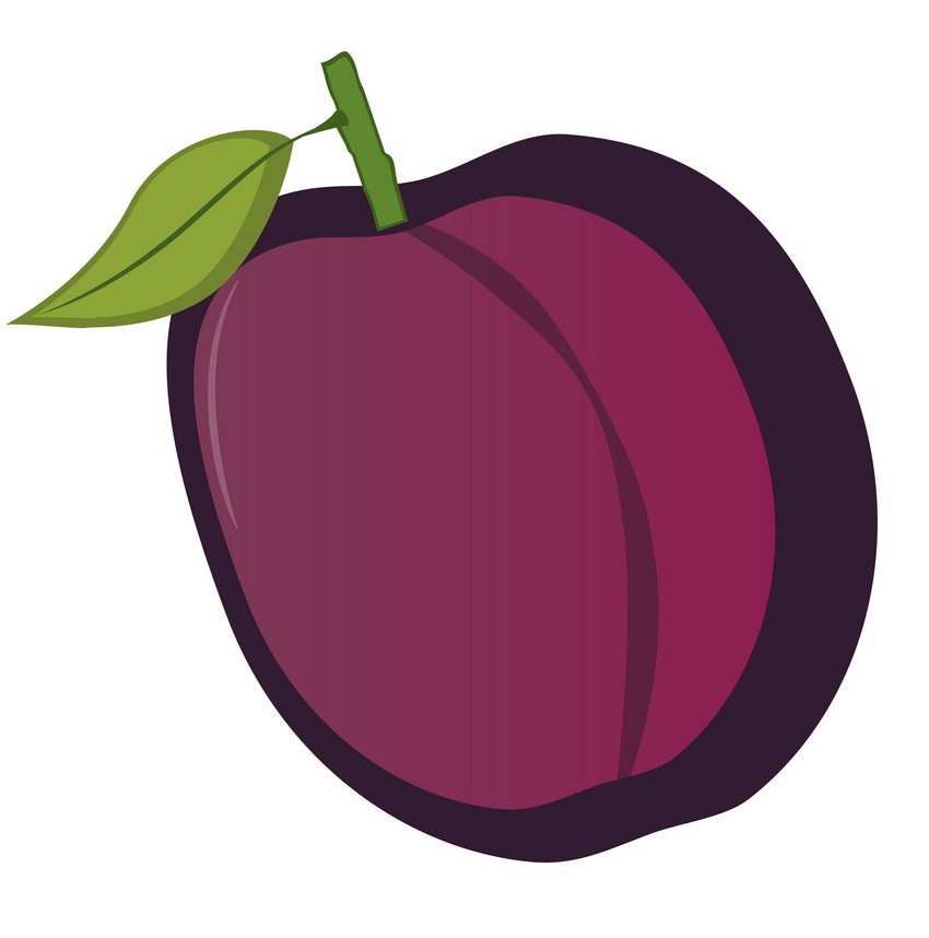 isolated plum