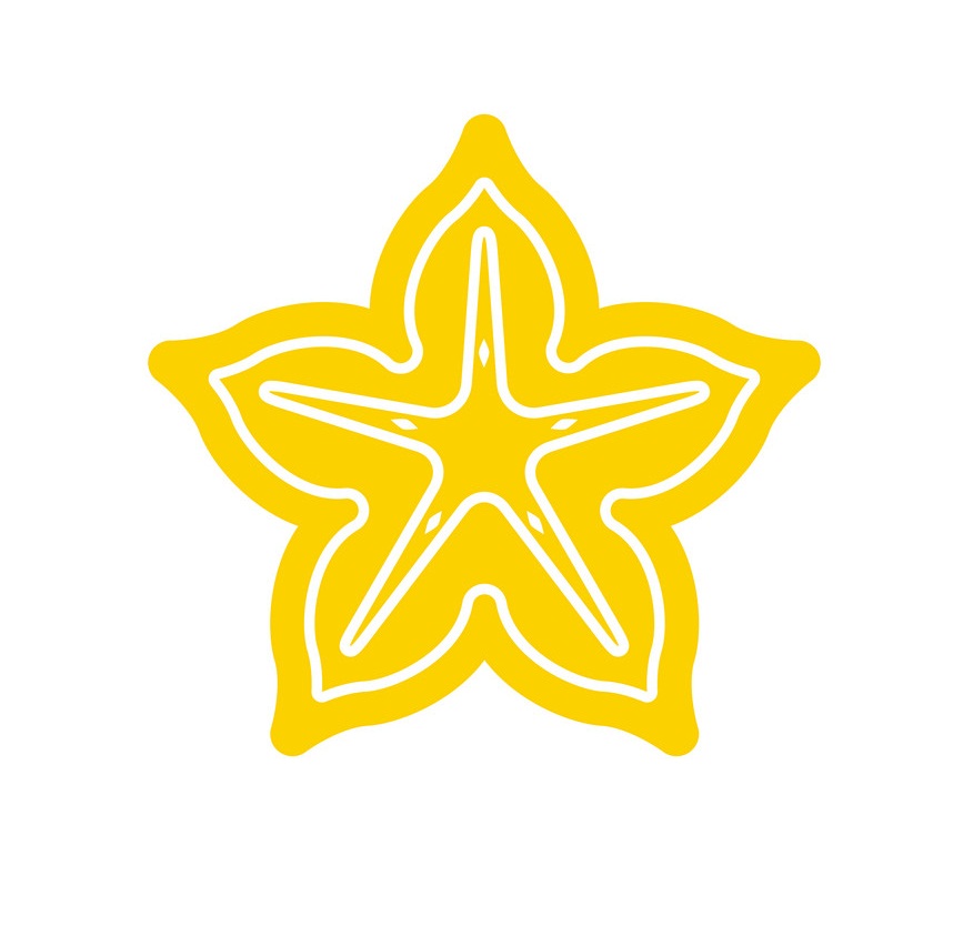 isolated star fruit design