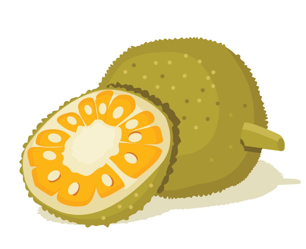 jackfruit and a half