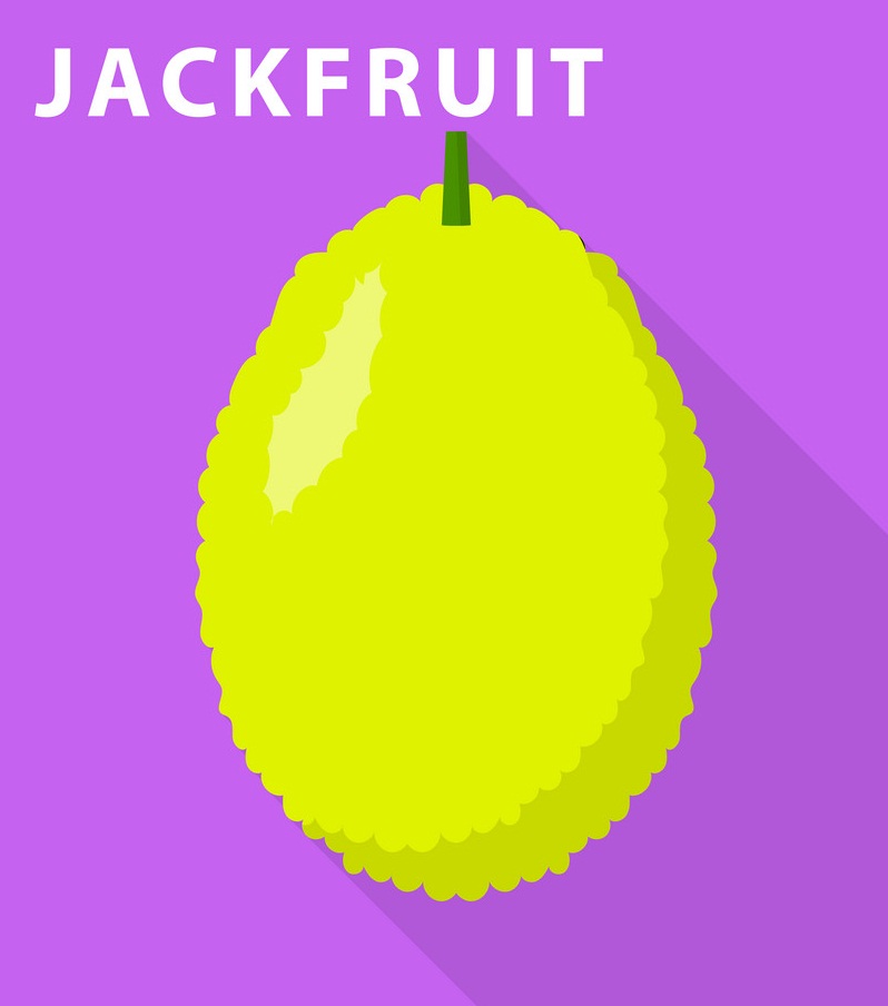 jackfruit icon on purple background