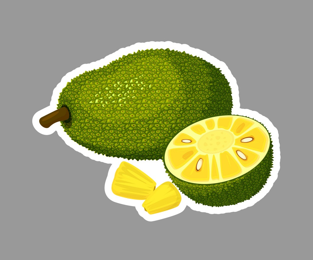 jackfruit sticker