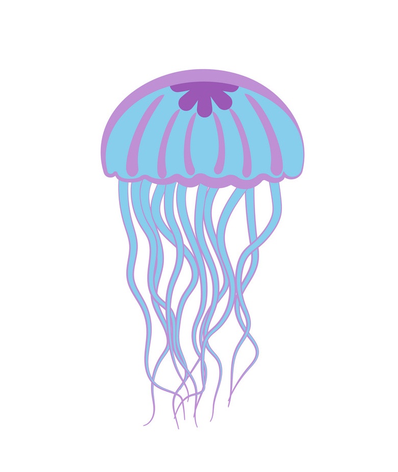 jellyfish