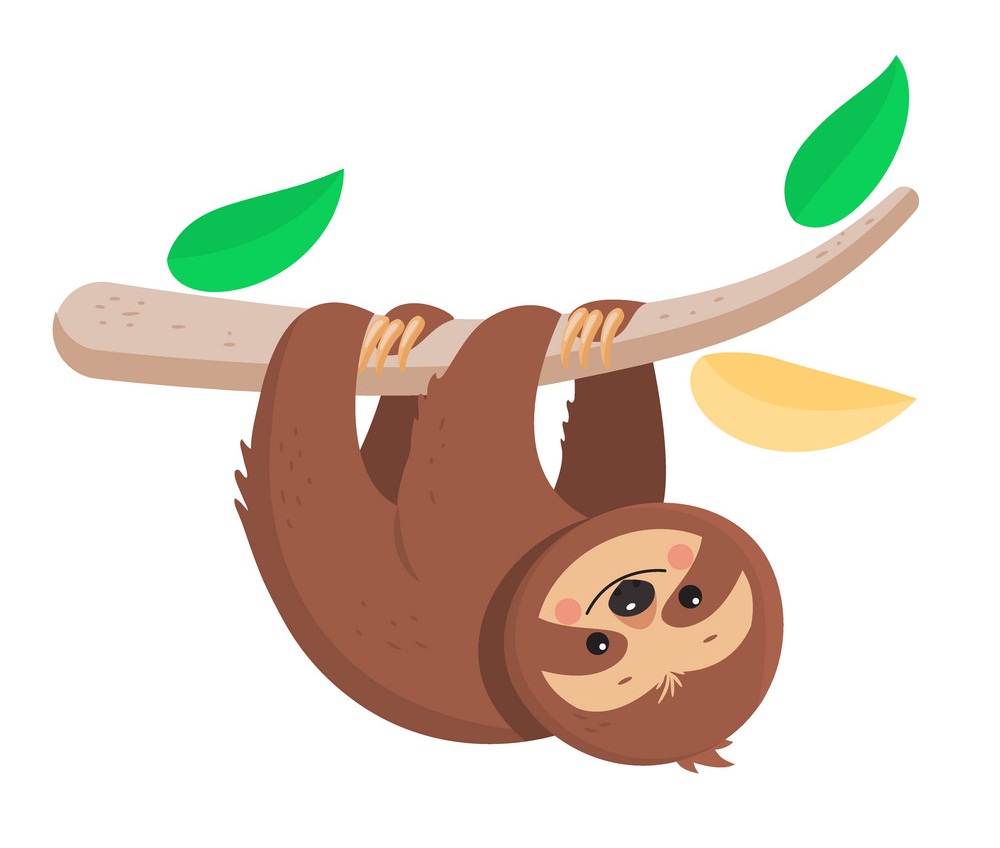 joyful sloth hanging on a branch