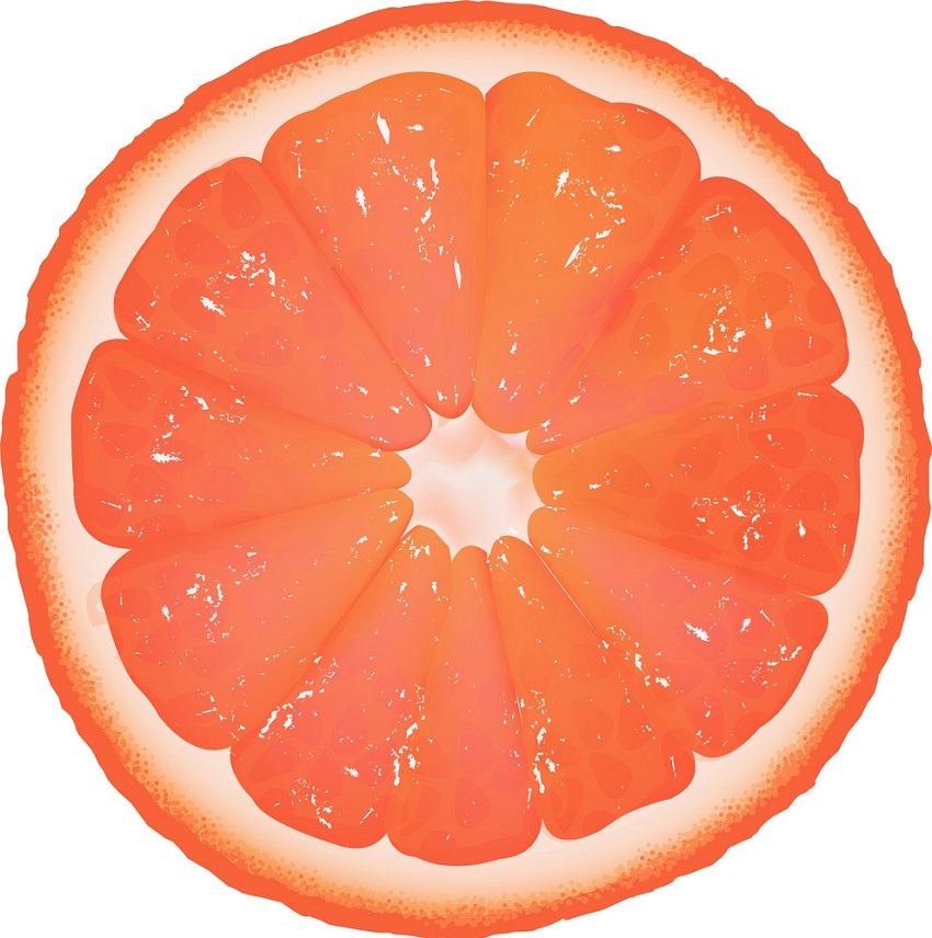 juicy slice of grapefruit