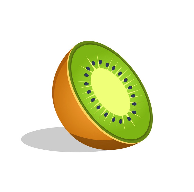 kiwi fruit cut in half icon