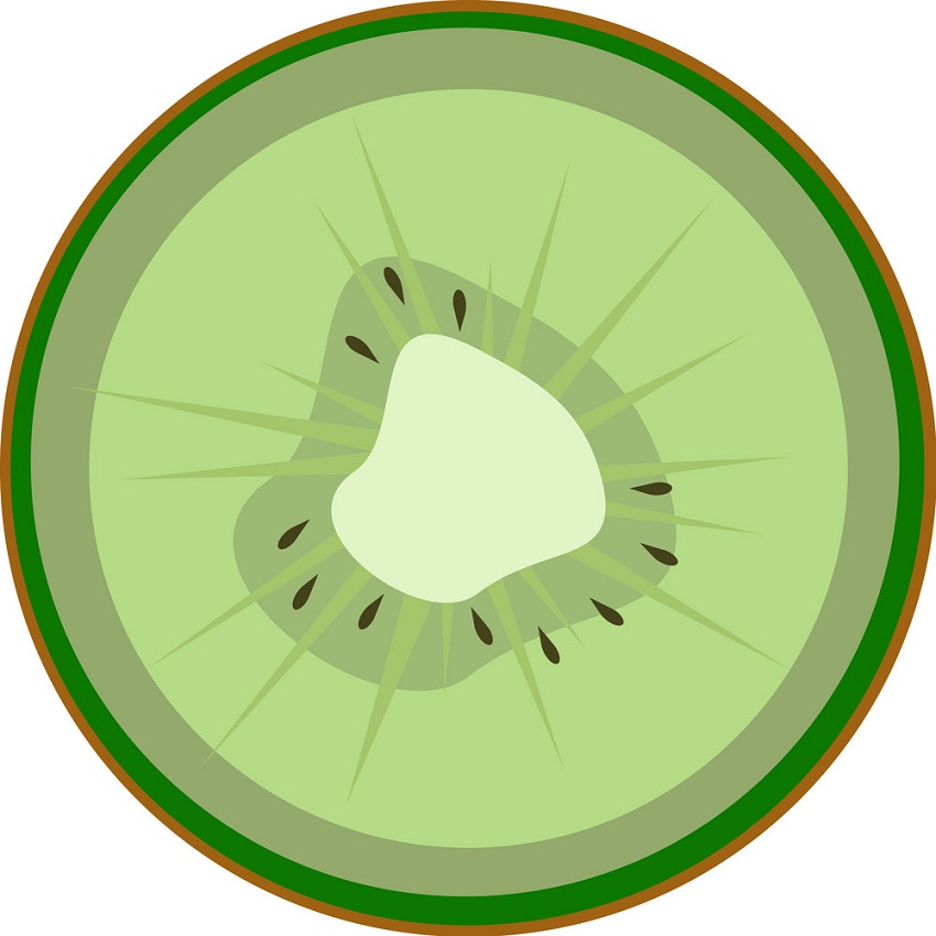 kiwi slice flat icon