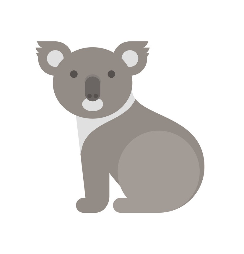 koala flat icon