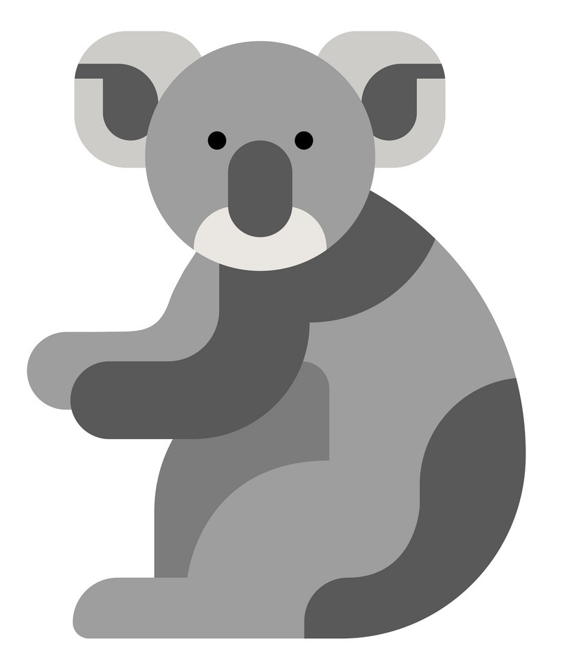 koala flat