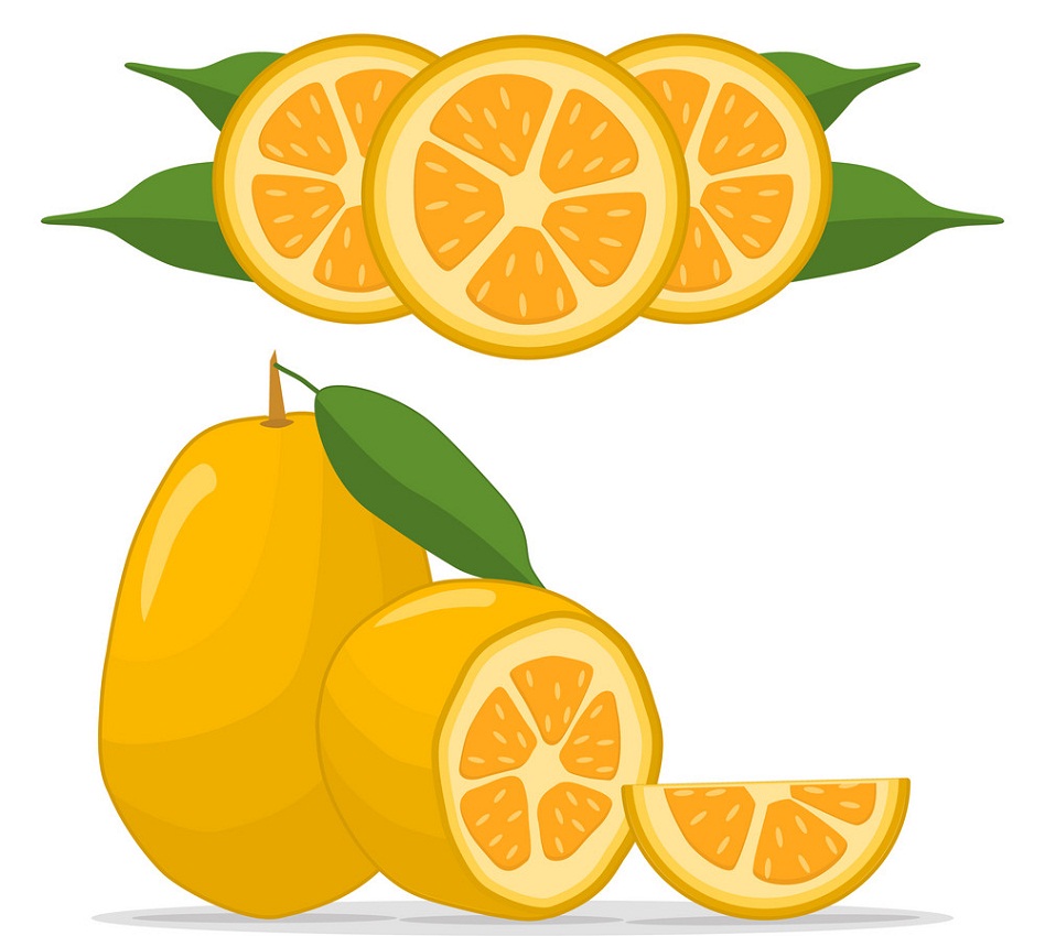kumquat and slices