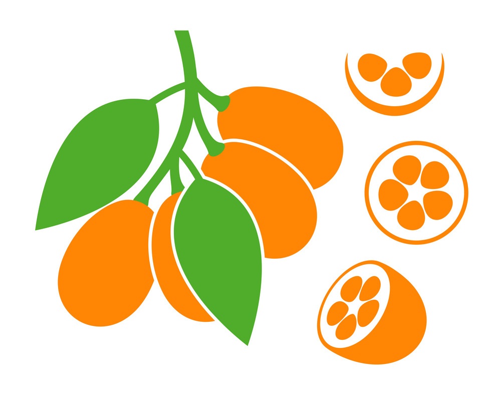 kumquat branch icon