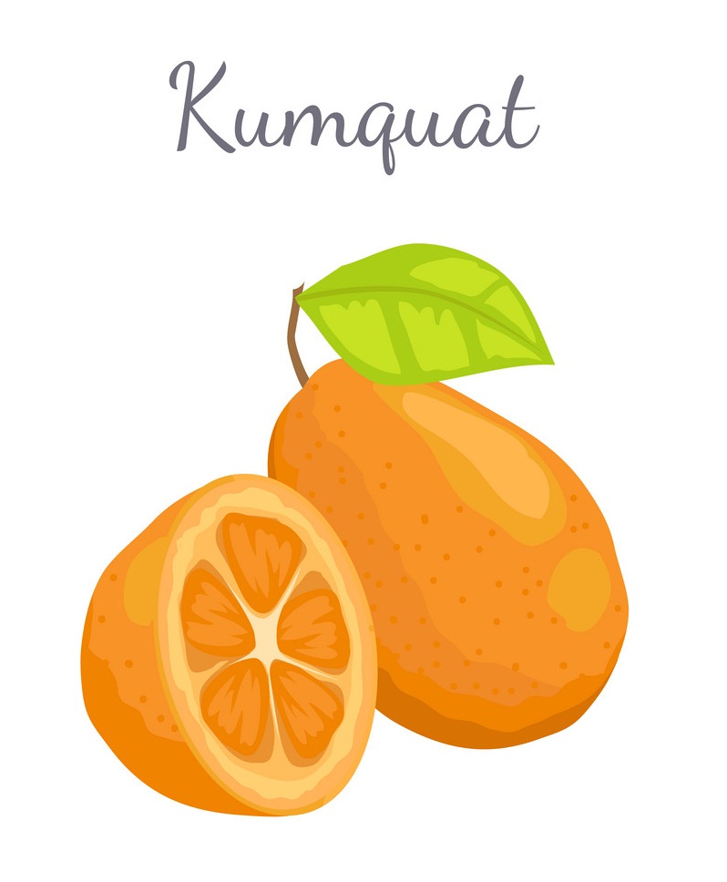 kumquat fruit and a half
