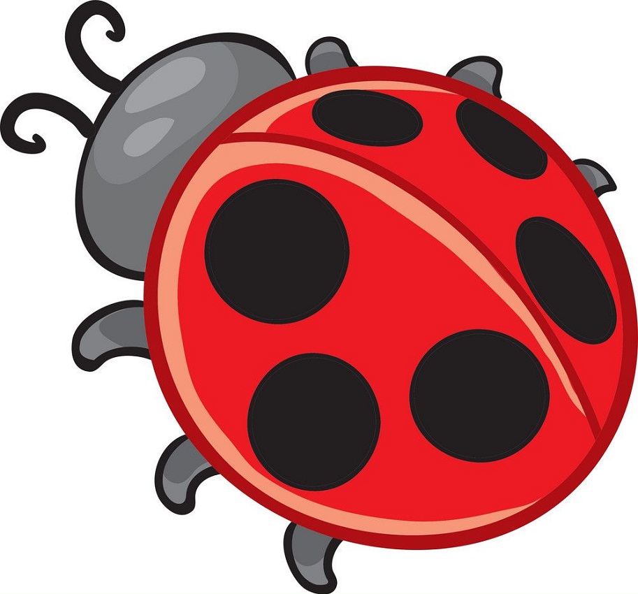 ladybug design