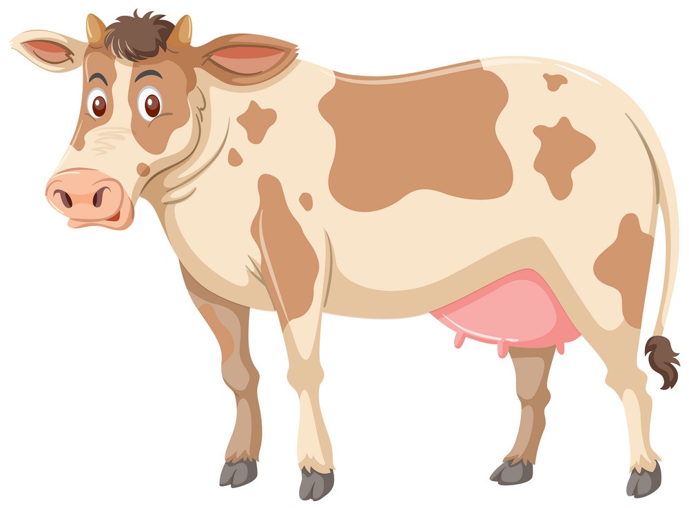 large brown cow