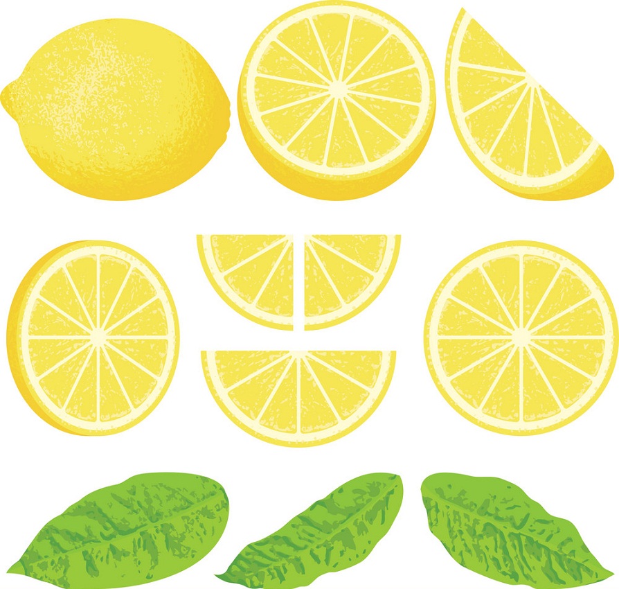 lemon with slices and leaves