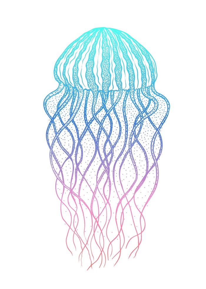 line art jellyfish