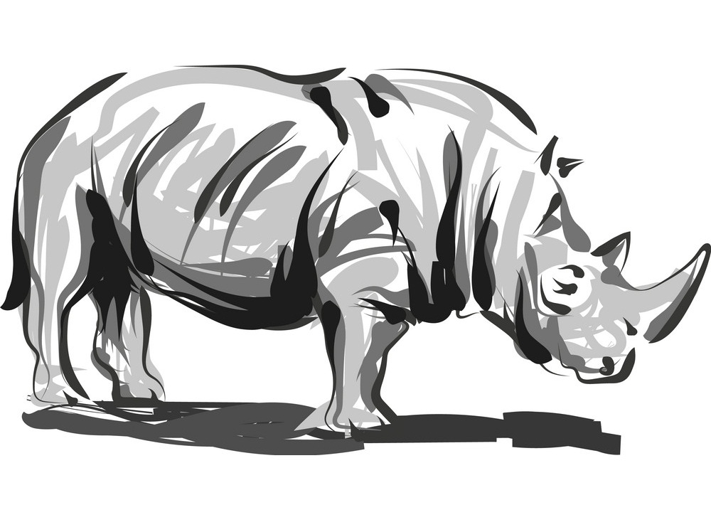 line sketch rhino