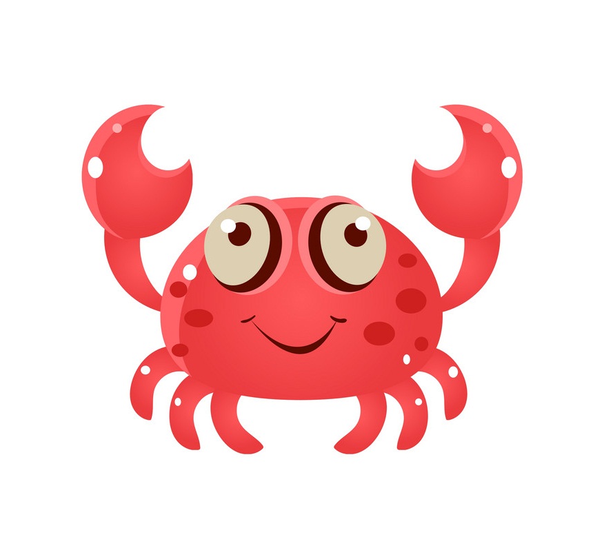 little adorable crab