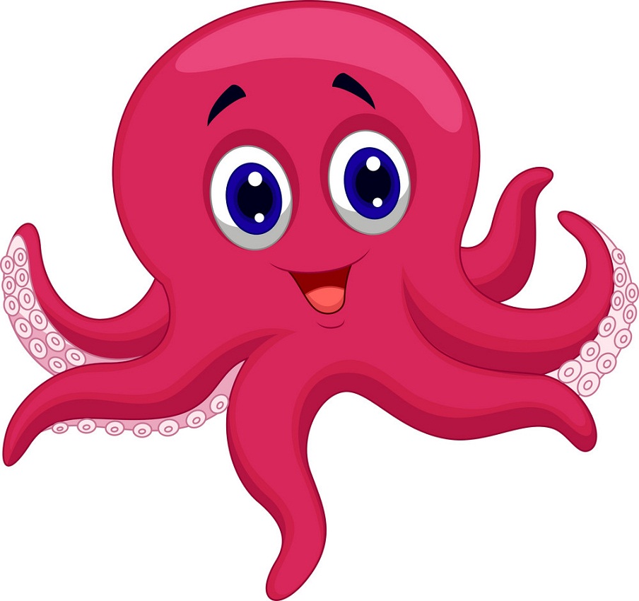 little cute octopus