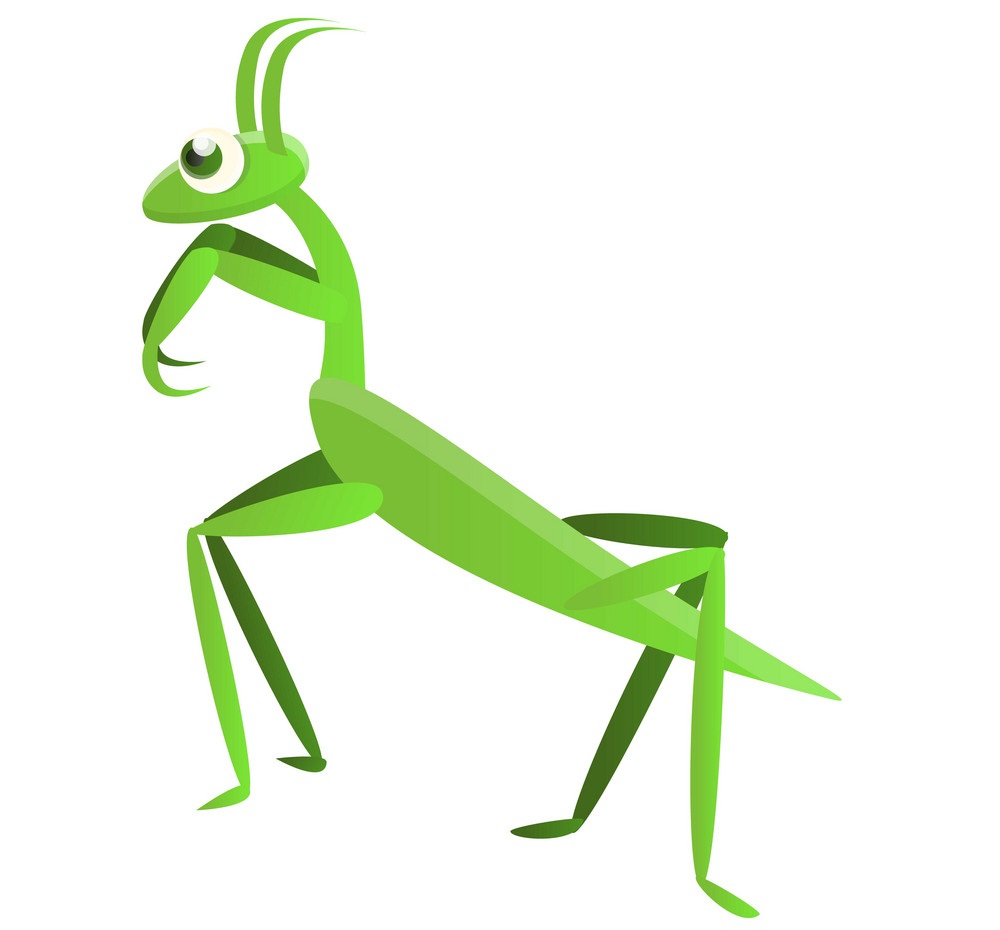 little cute praying mantis