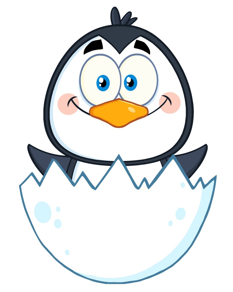 little penguin in egg shell