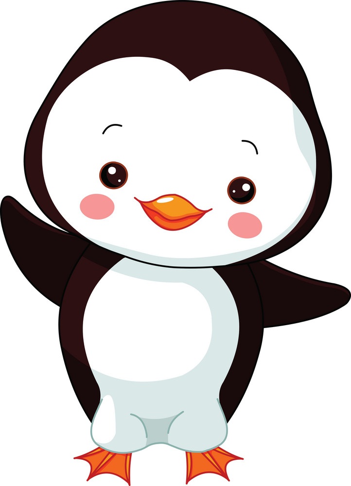 little penguin