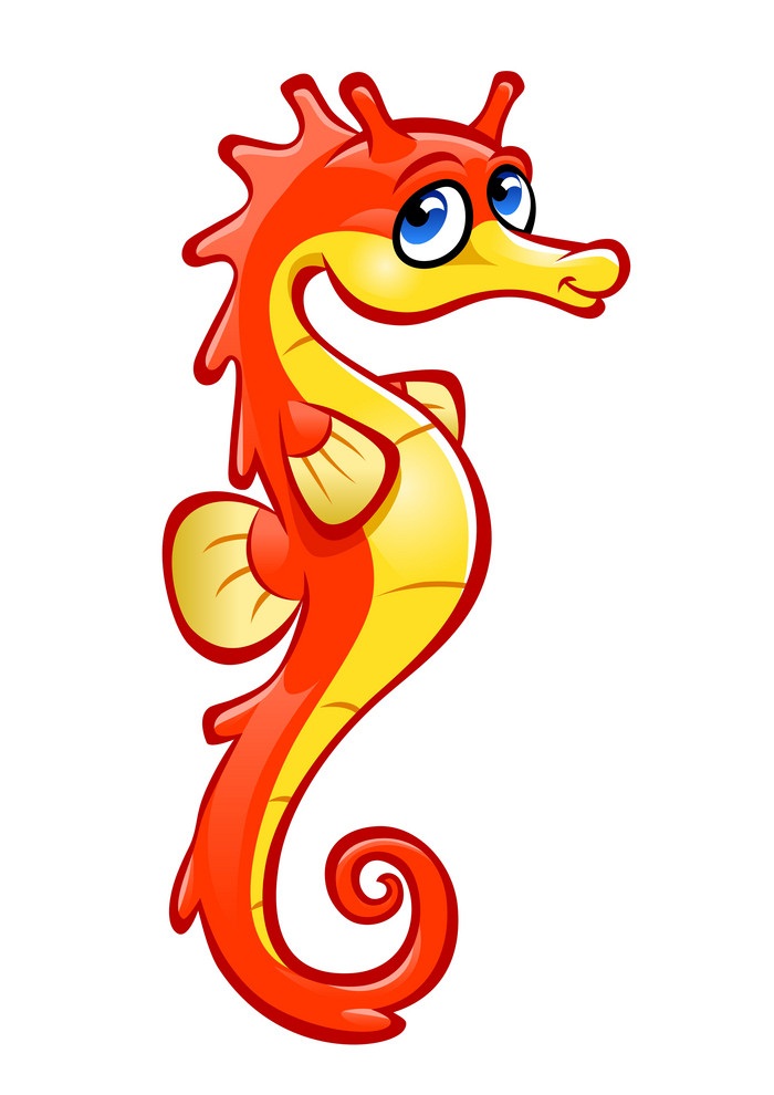 little seahorse