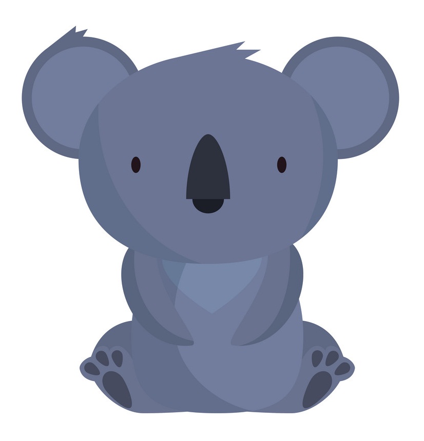 little wild koala