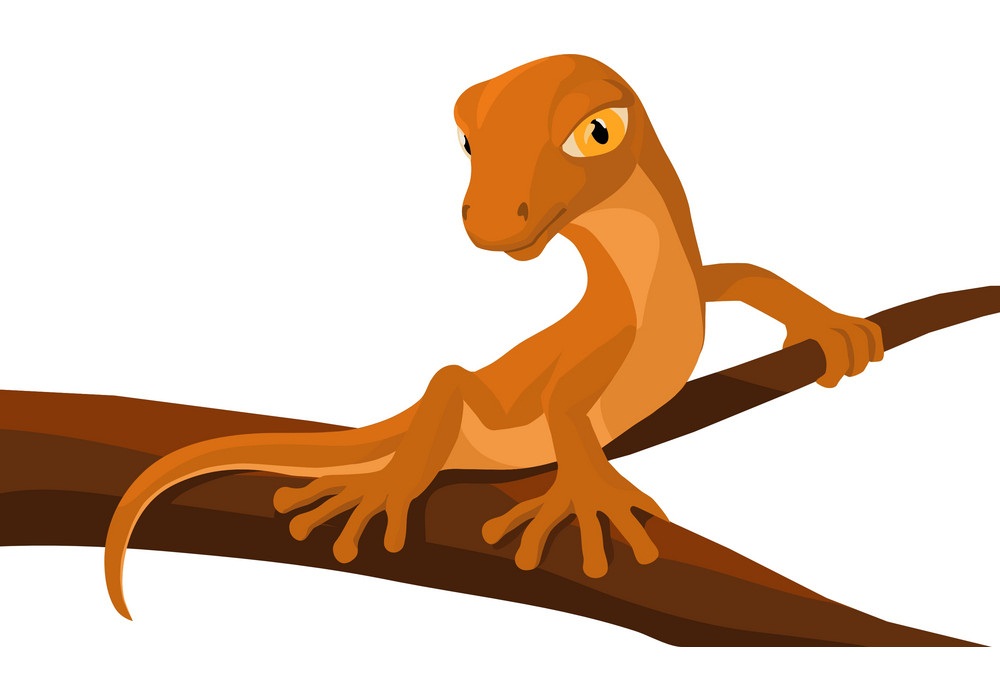 lizard on a branch