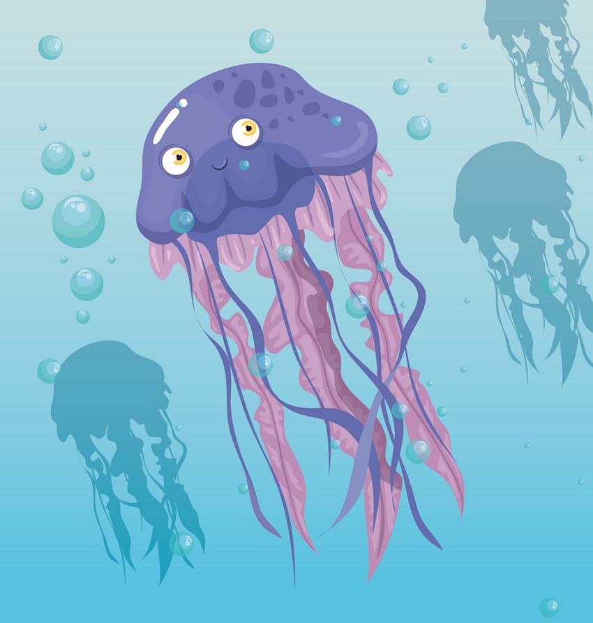 lovely jellyfish swimming