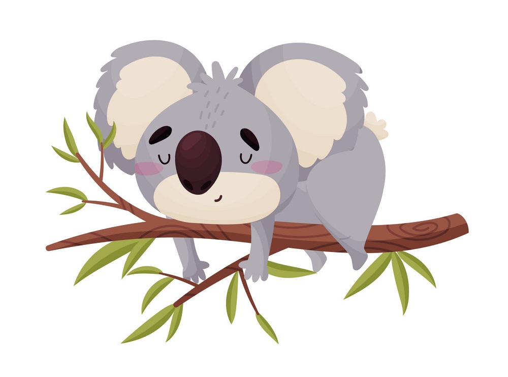 lovely koala sleeping on a tree branch