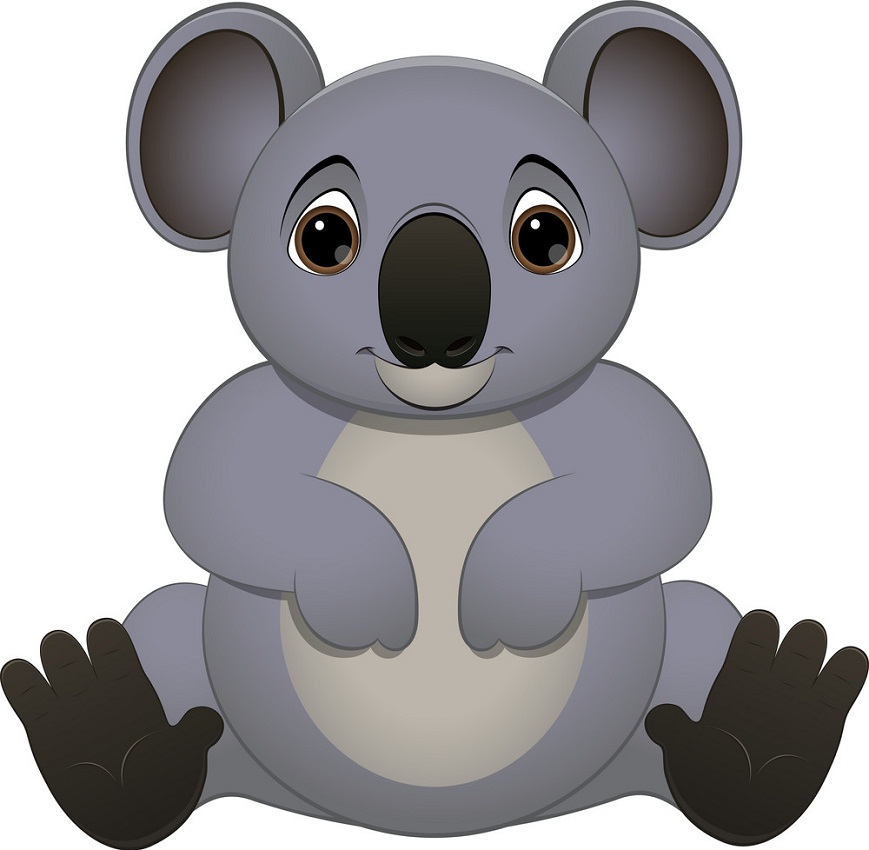 lovely koala