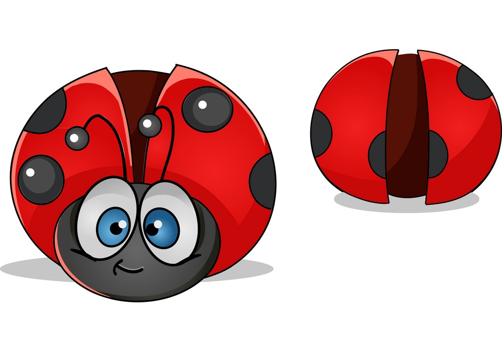 lovely ladybug