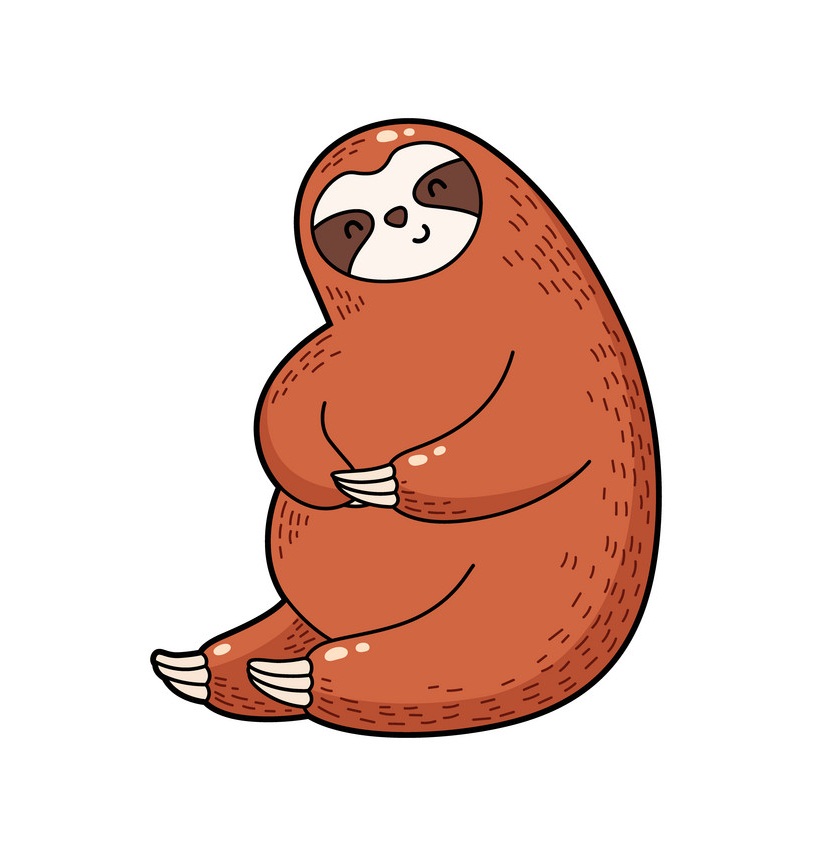 lovely orange sloth