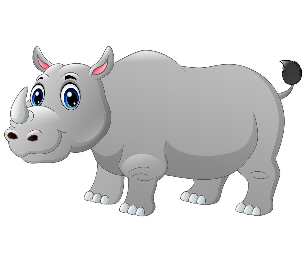 lovely rhino