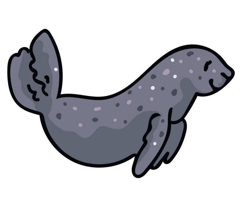 lovely seal