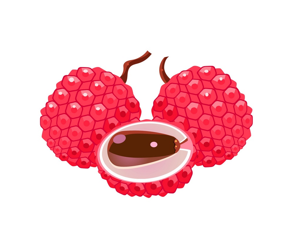 lychee fruit icon
