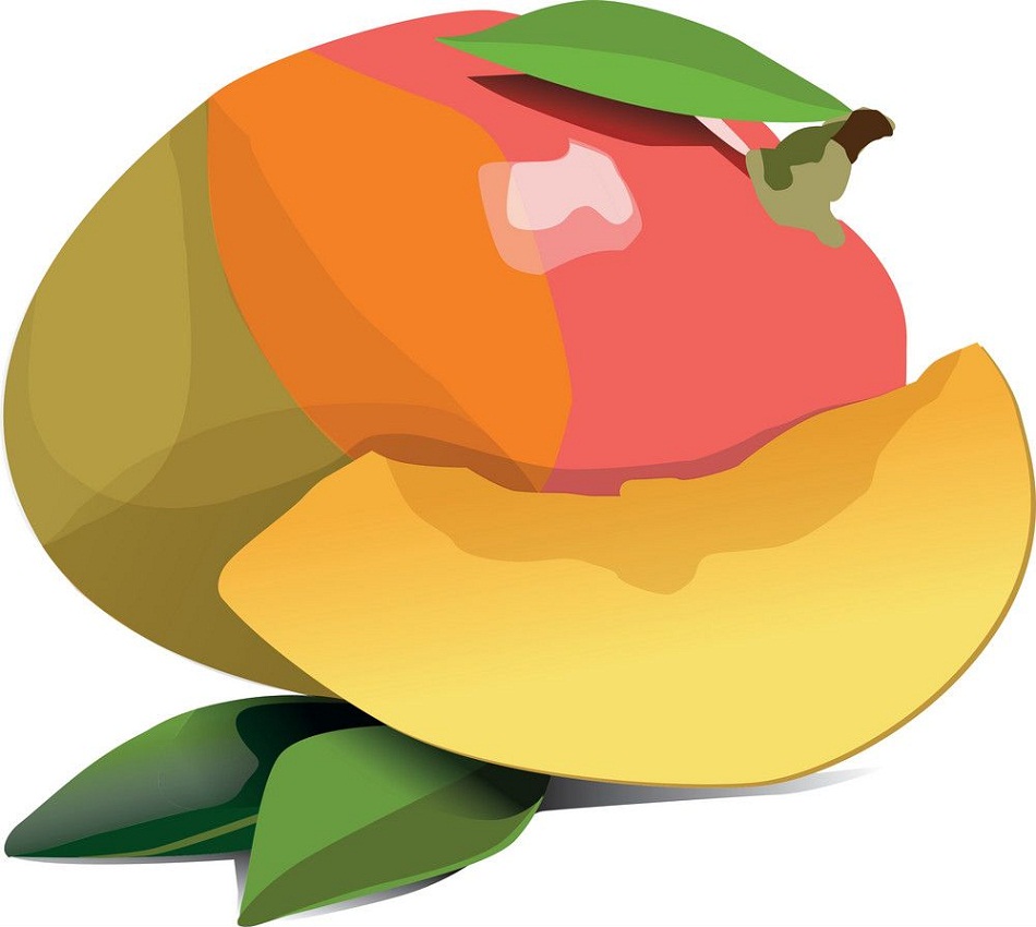 mango and a slice