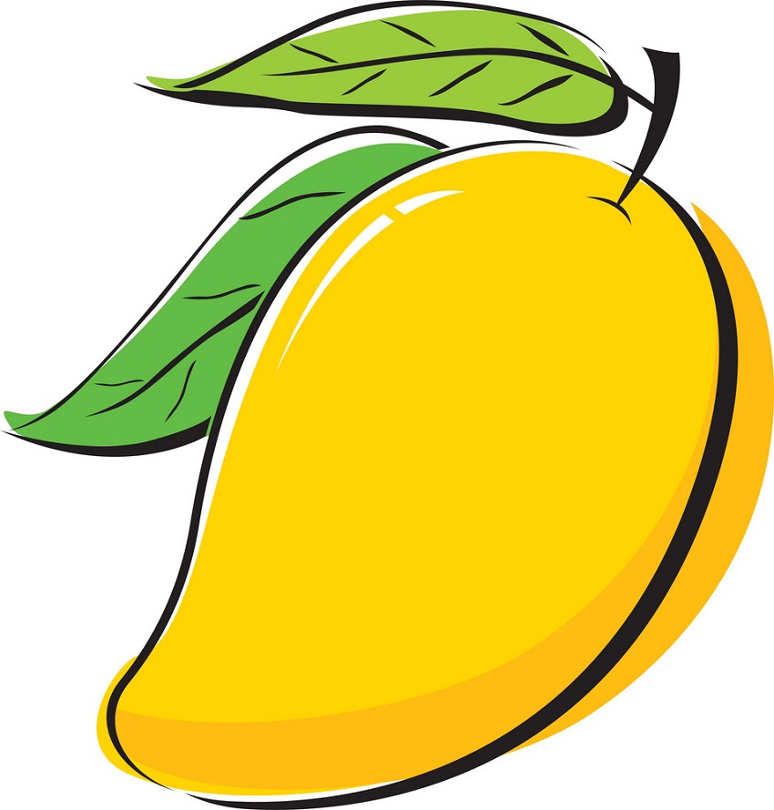 mango design